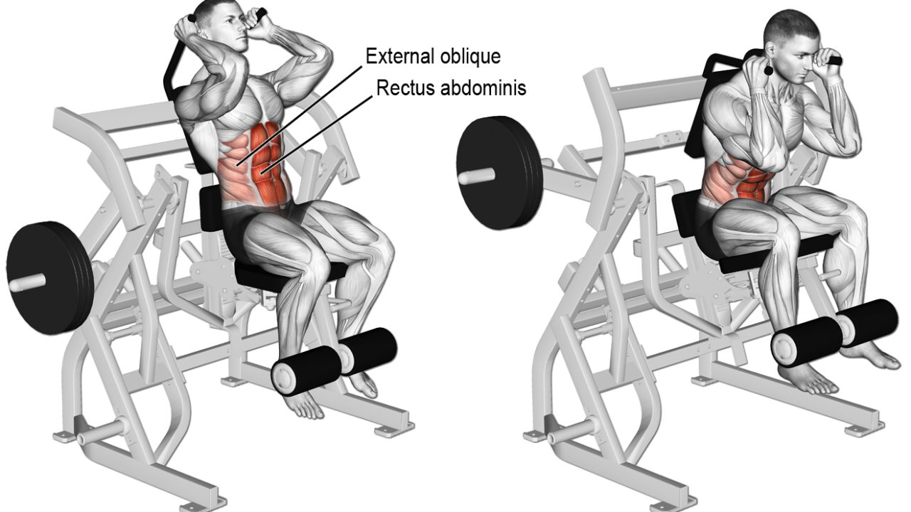 Beginner Workout Routine for Men EFitnessHelp