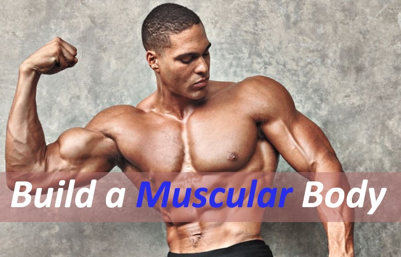 Build a muscular body