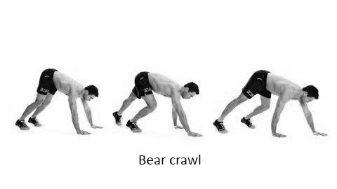Bear crawl