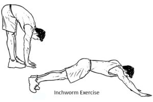 Inchworm exercise