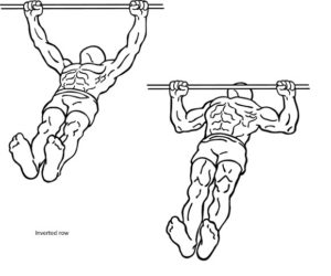 Inverted row