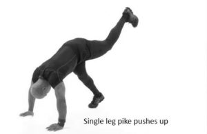 Single leg pike pushes-up