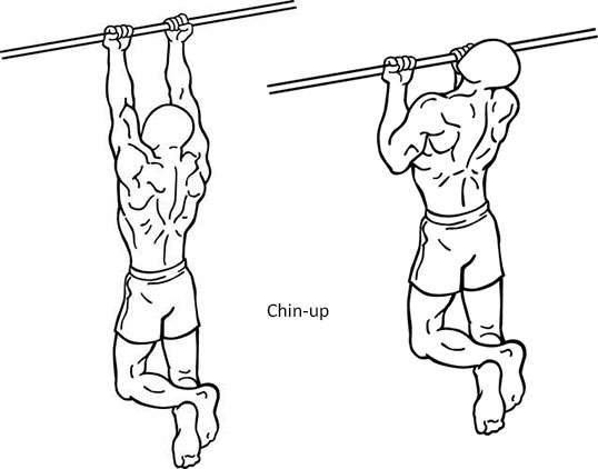 Complete Bodyweight Exercise Guide EFitnessHelp