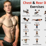 chest exercises and rear delt exercises