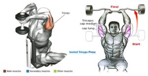Seated Triceps Press