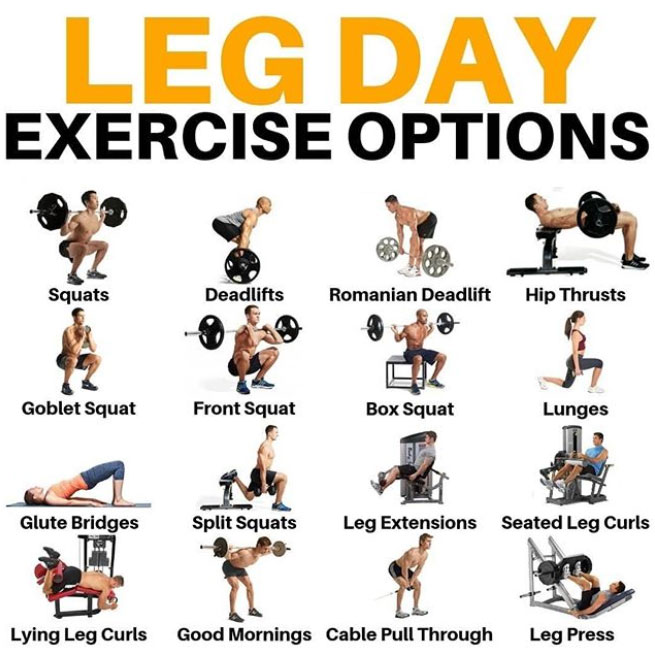 leg exercises