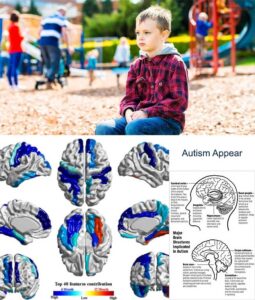 Autism Appear