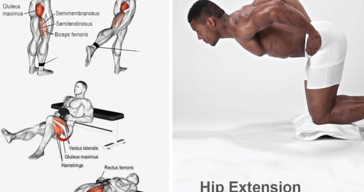 Hip Extension Exercise