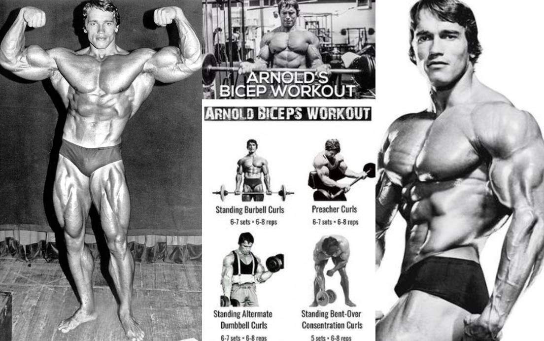 Arnold Bicep Workout The Ultimate Guide To Making Your Biceps Perfect