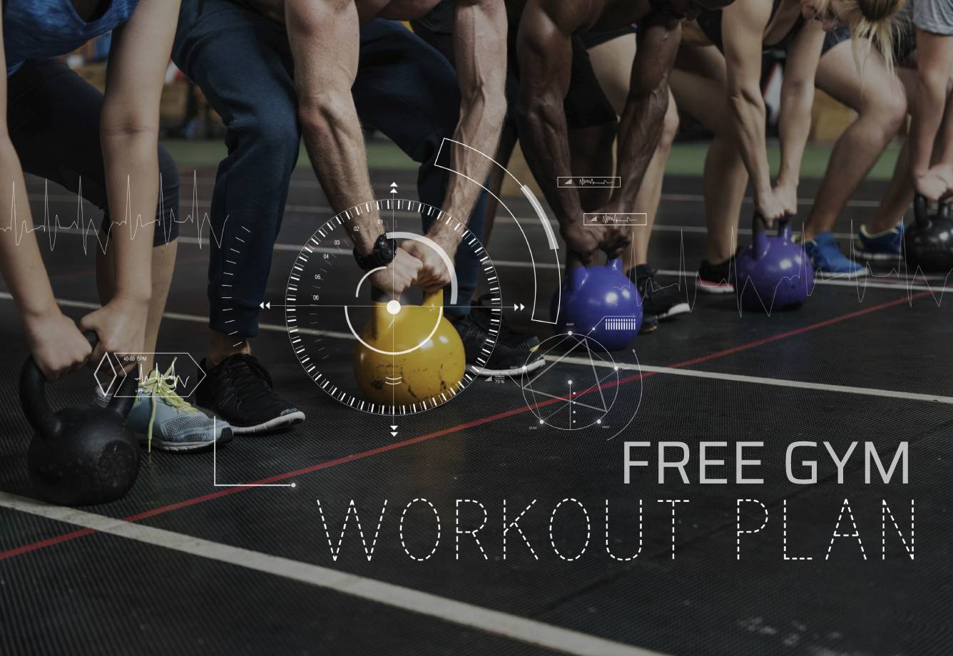 Free Gym Workout Plan for Youngsters and Beginners