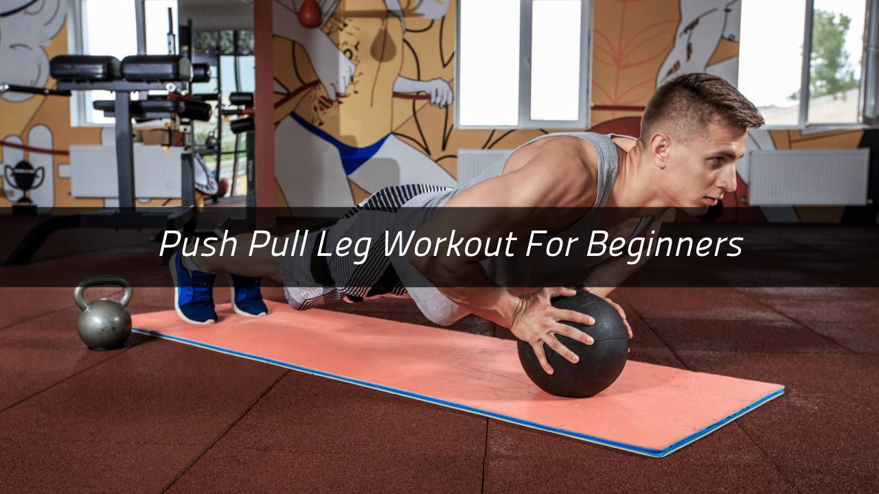 Push Pull Leg Workout For Beginners